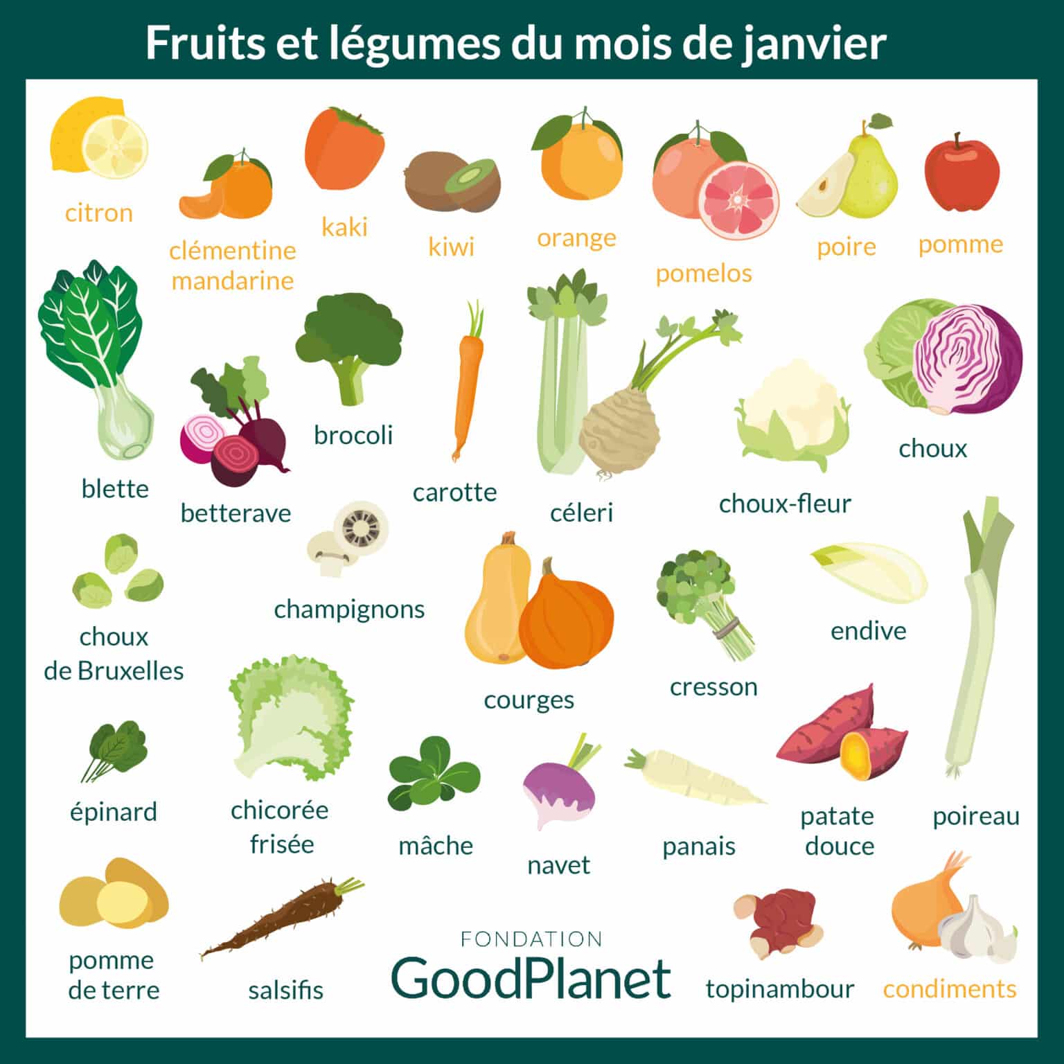 Les Fruits Et L Gumes De Janvier Sont L Goodplanet Mag