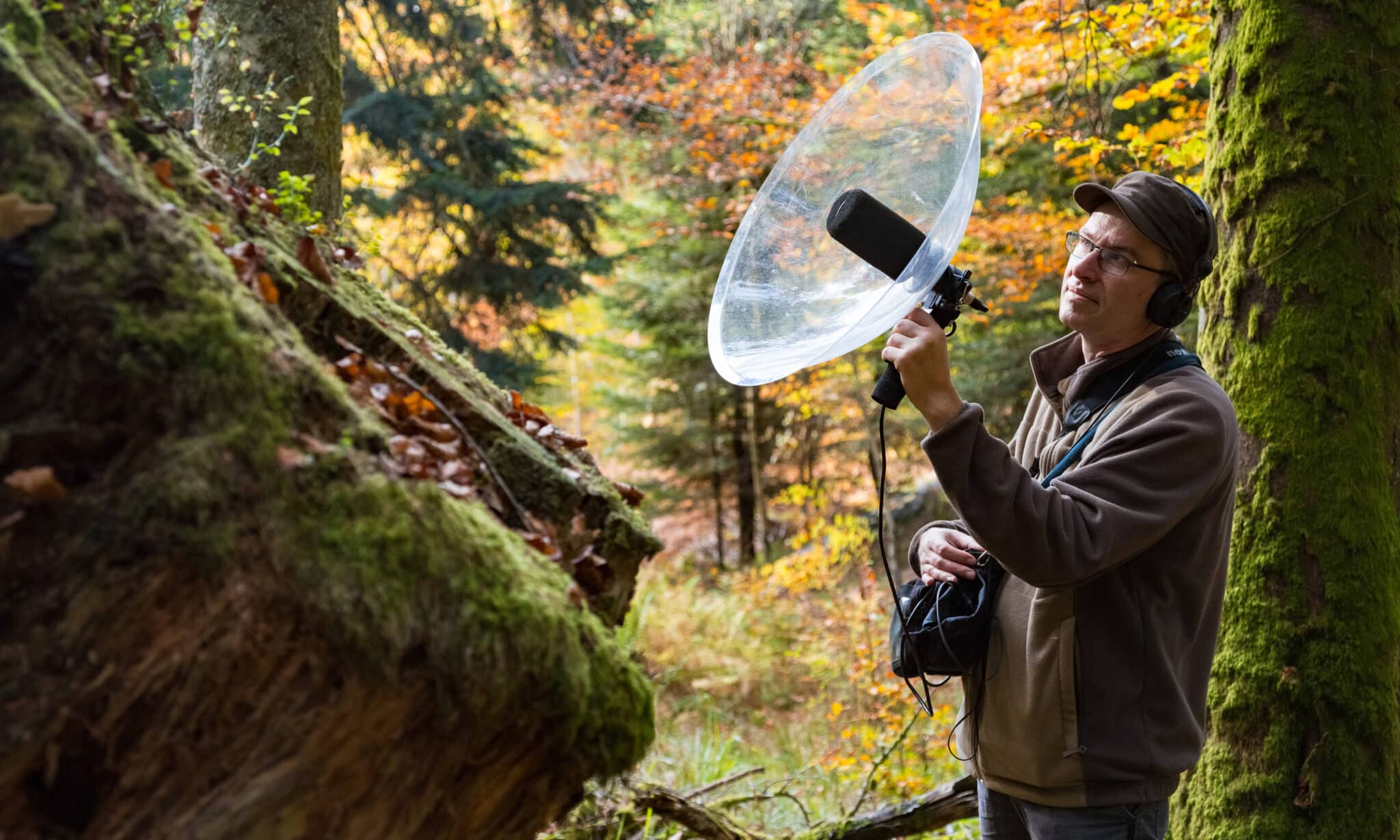 À lécoute du Vivant avec laudio naturaliste Marc Namblard si les