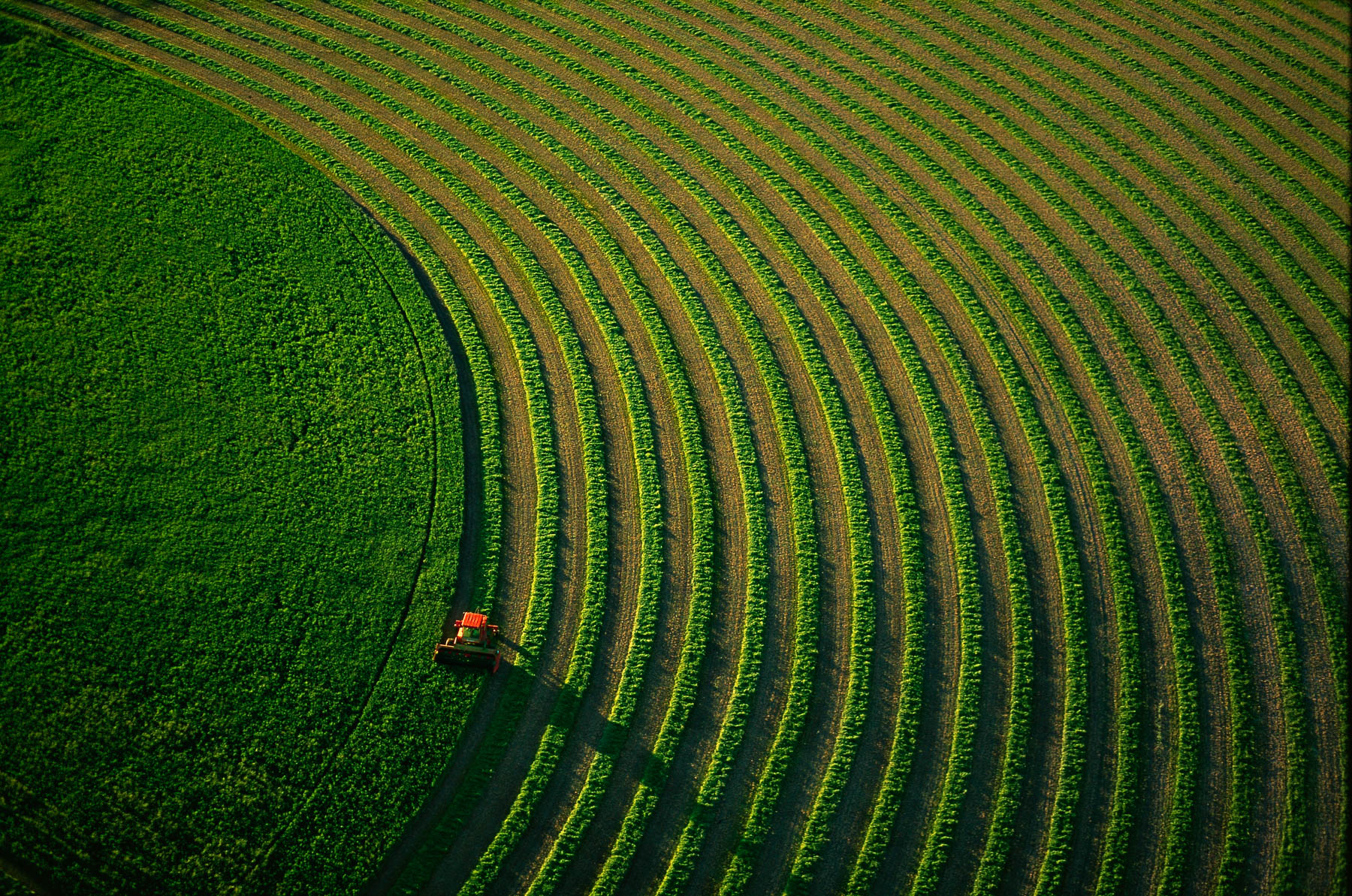 Поле много. Yann Arthus-Bertrand. Поле вид сверху. Земля - вид сверху. Поле с высоты птичьего полета.