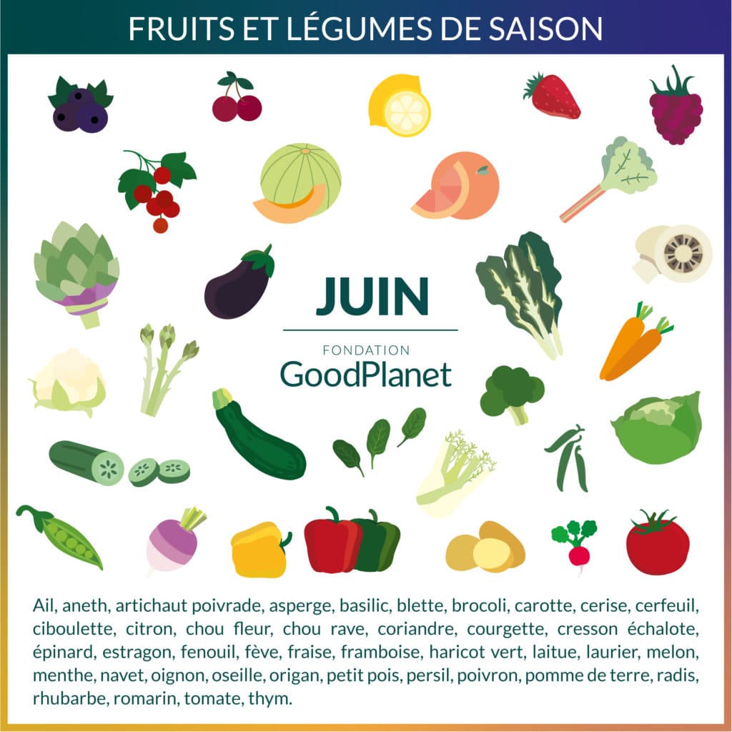 La liste des fruits et légumes de saison - Fondation pour la Nature et  l'Homme