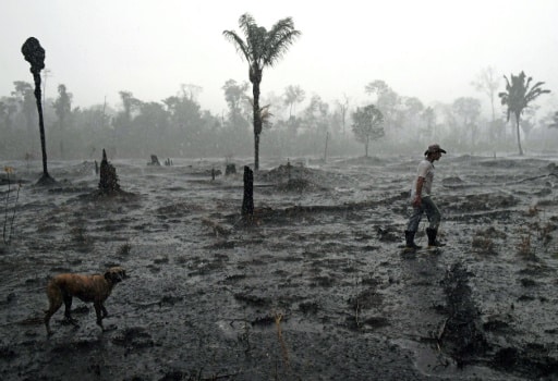 amazonie deforestation epidemie