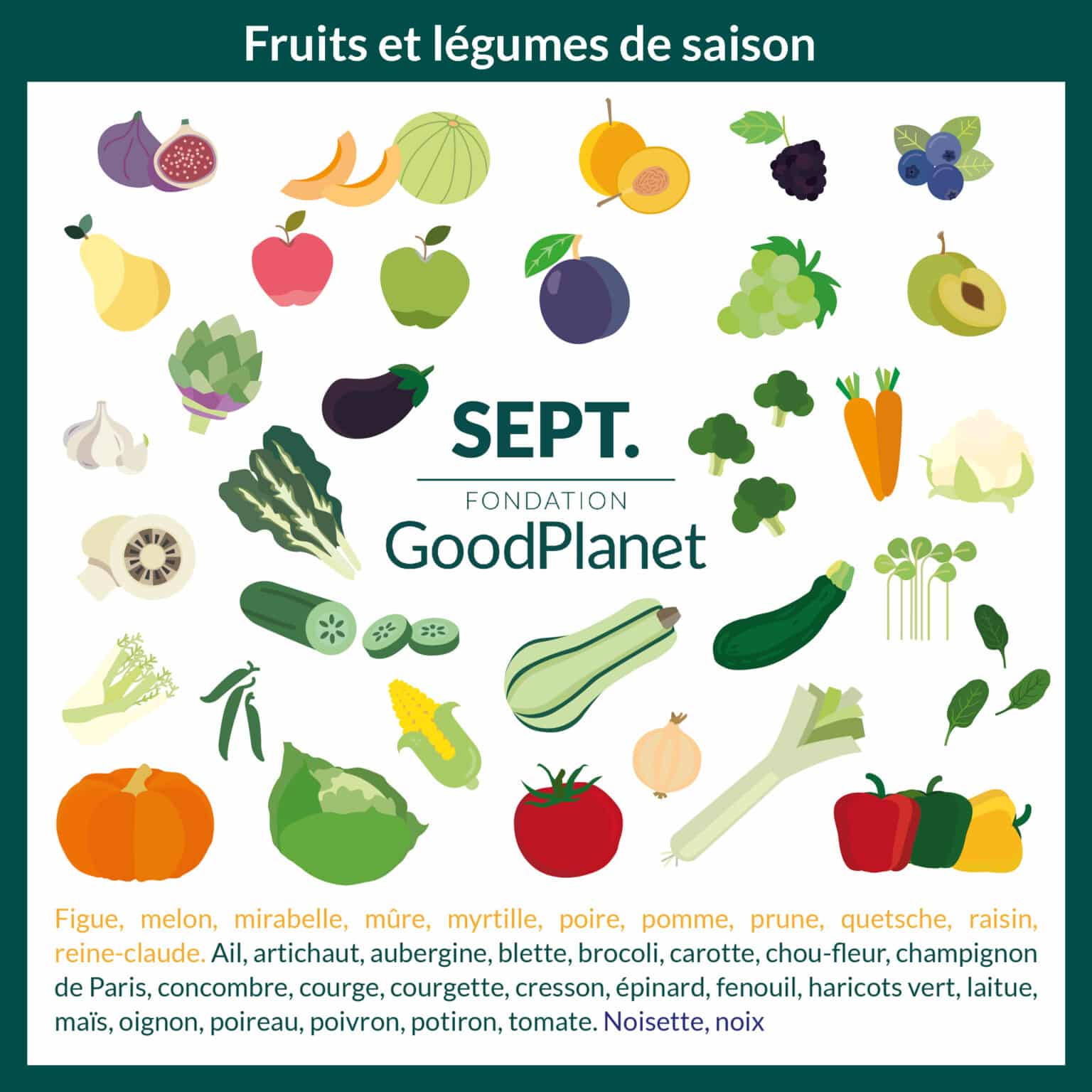 Les legumes. Les Fruits et les legumes раскраска. Презентация Fruits legumes fleurs. Francais legumes at Fruits. Magasin картинки для определения темы дупгьуы Акгшеы.