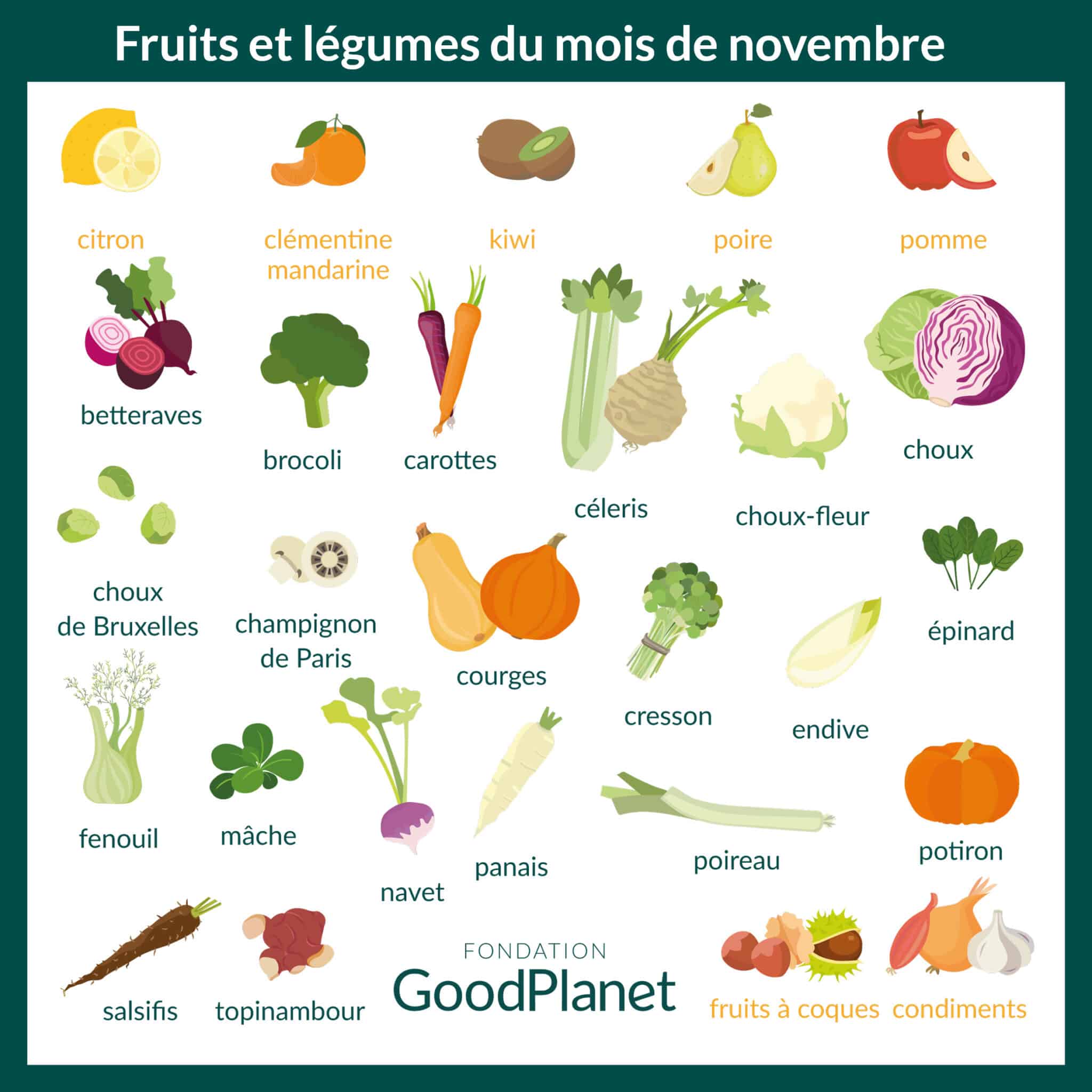 Les Fruits Et Légumes De Novembre Sont Là ! - GoodPlanet Mag'