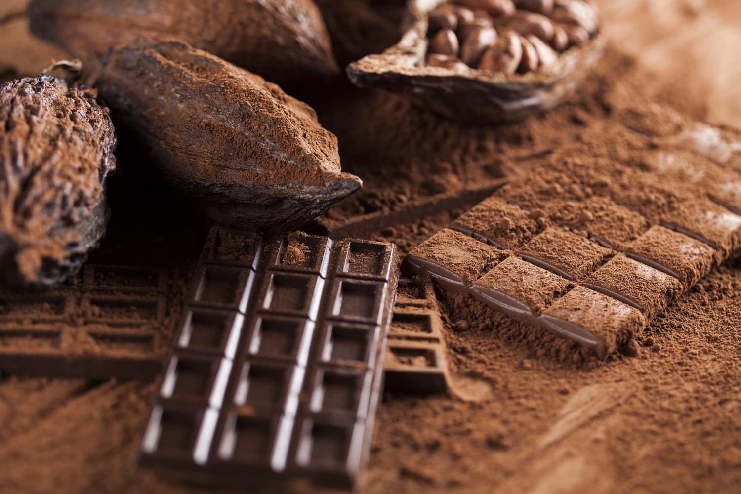 Bienfaits du chocolat : le cacao joue-t-il vraiment sur votre humeur ? -  Blog
