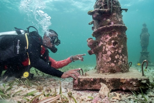 plongeur sculpture coraux