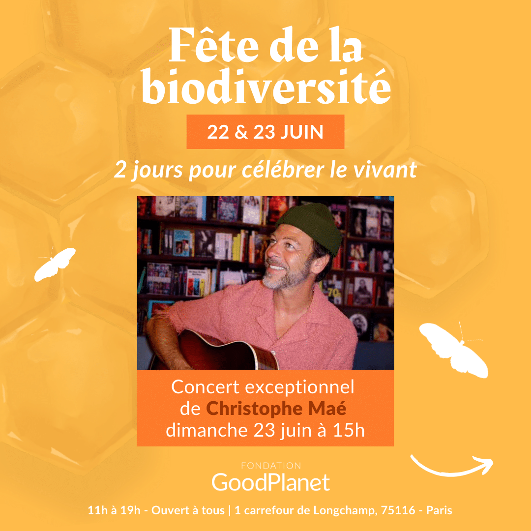 christophe maé goodplanet