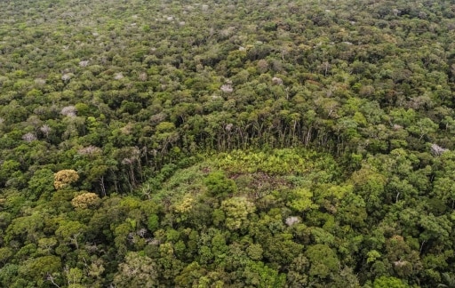 baisse déforestation colombie