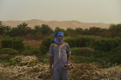 oasis de maeden mauritanie