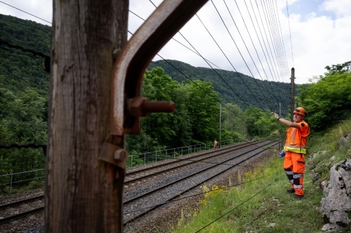 SNCF réseau vegetation