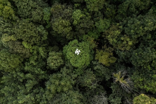 pas la fin du monde bonnes nouvelles planete