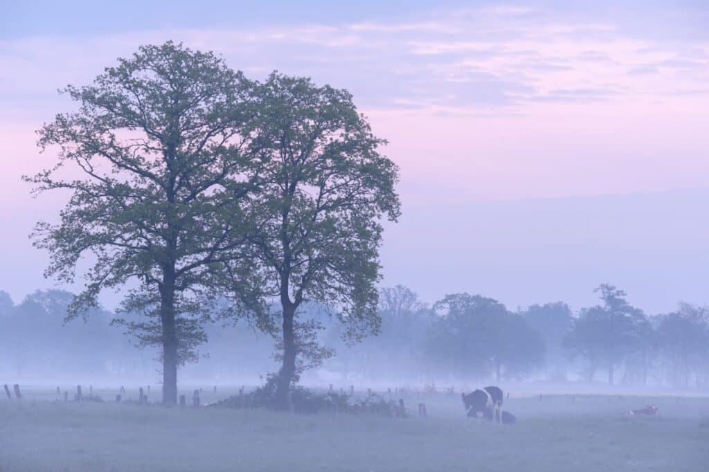 resrrves biosphere belgique pays bas