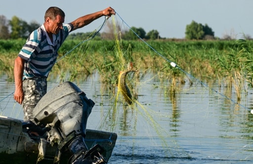 lac poisson roumanie