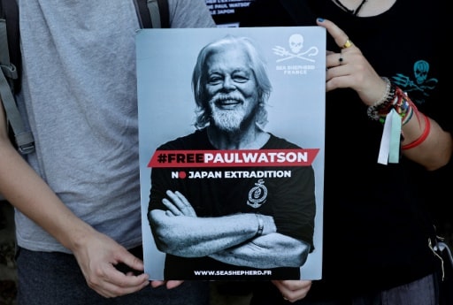 paul watson