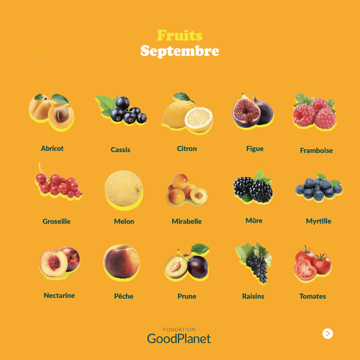 calendrier fruits et legumes de saison septembre goodplanet