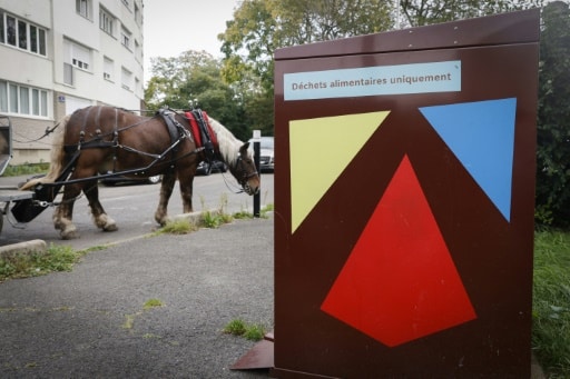 Un cheval ramasse des déchets Paris