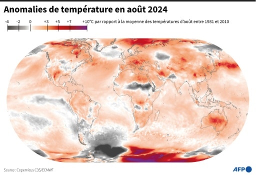 Carte Copernicus anomalies température 2024