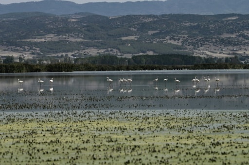 Lac Koronia asséché Grèce