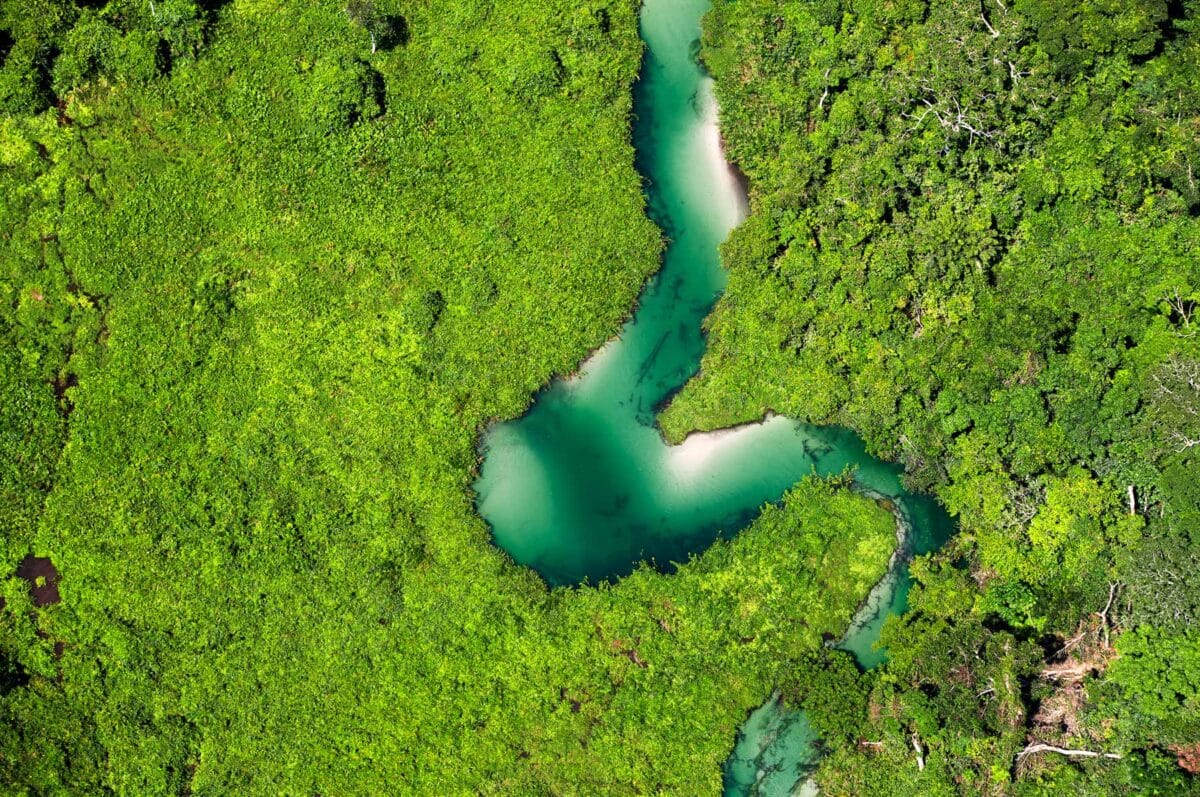 cop16 enjeux cop cali colombie biodiversité