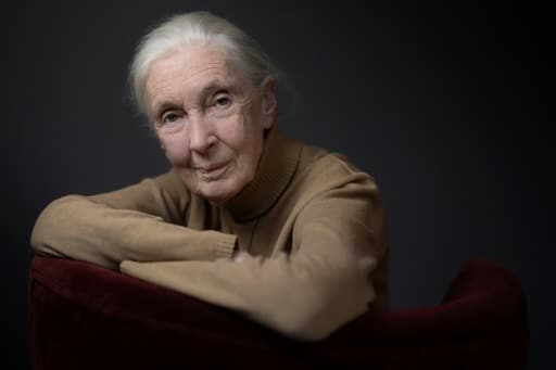 cop16 jane goodall