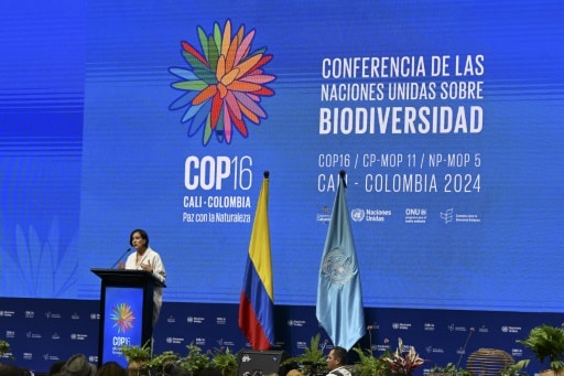 COP16 biodiversité cali