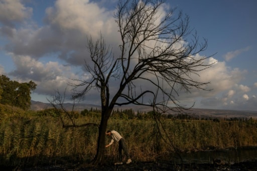 guerre isréael gaza effet nature