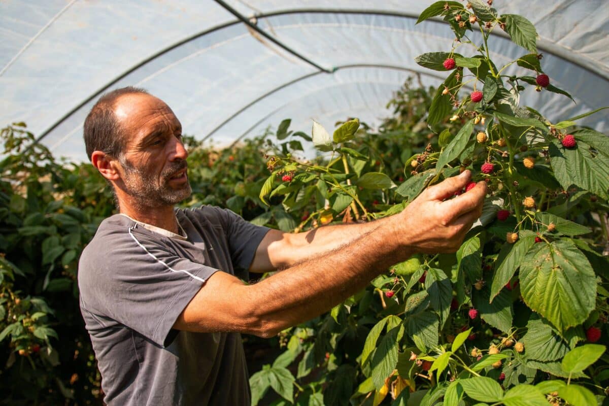 bio et équitable en France crise agricole mercosur