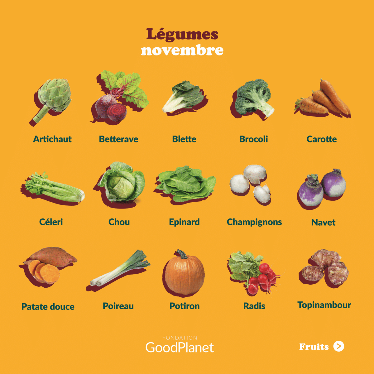 Fruits et légumes de novembre