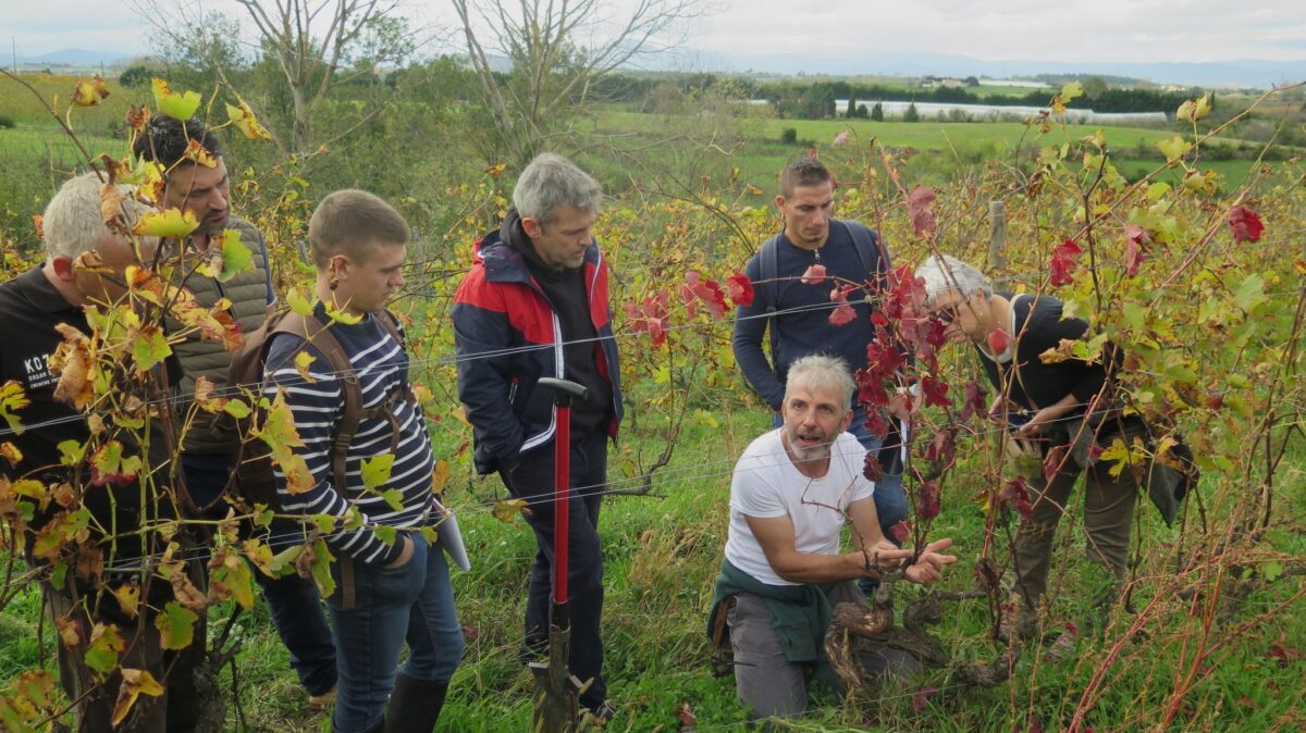 Rencontres territoriales viticulture en Côtes-du-Rhône