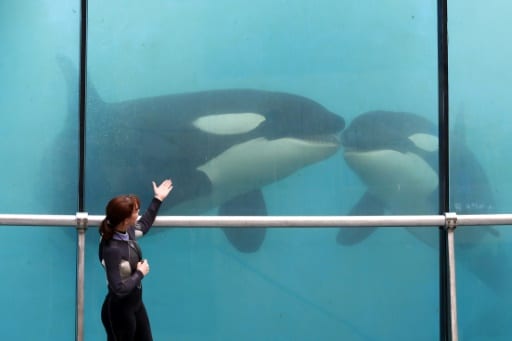 marineland orques france