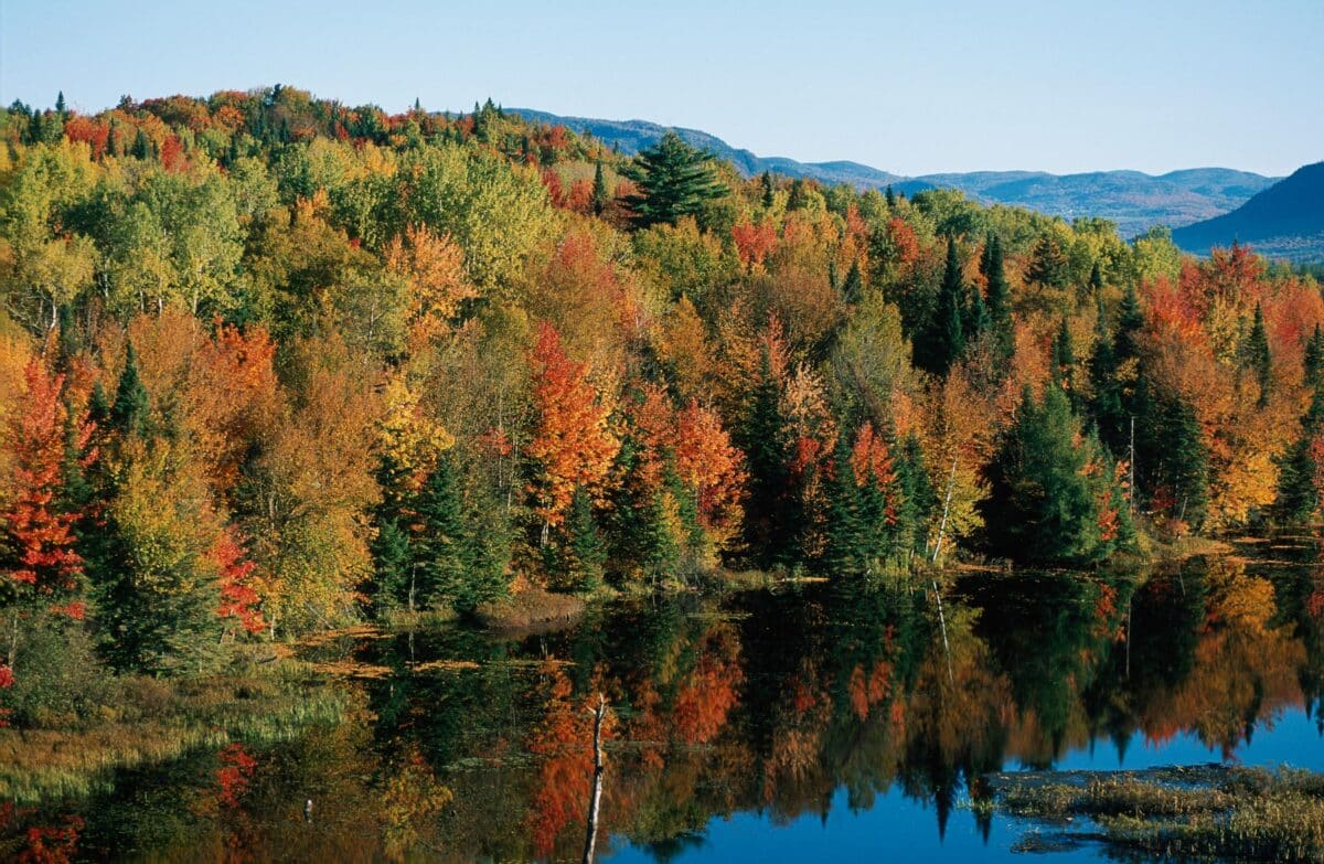 Feuilles d'automne au Canada ©Yann Arthus Bertrand