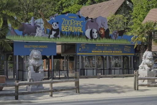 Singes dorés Chine Beauval