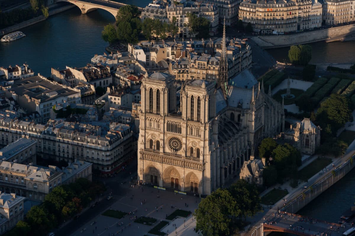 Cathédrale Notre-Dame de Paris, refuge des oiseaux