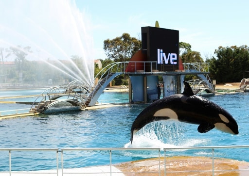 Marineland orques