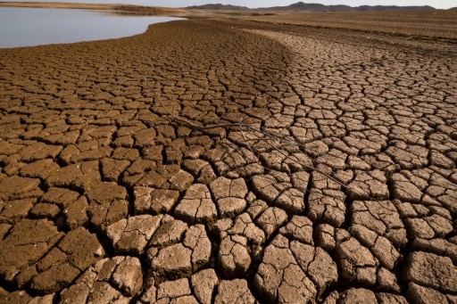 cout desertification secheresse