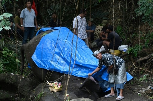 éléphant mort Indonésie