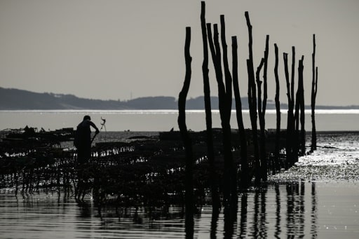 Bassin d'Arcachon