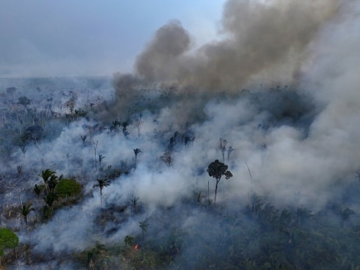 brésil feu de vegetation