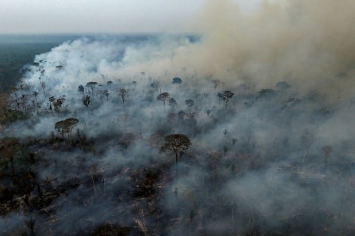 incendies niveau record Amazonie