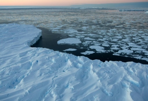 banquise Antarctique vigueur fonte