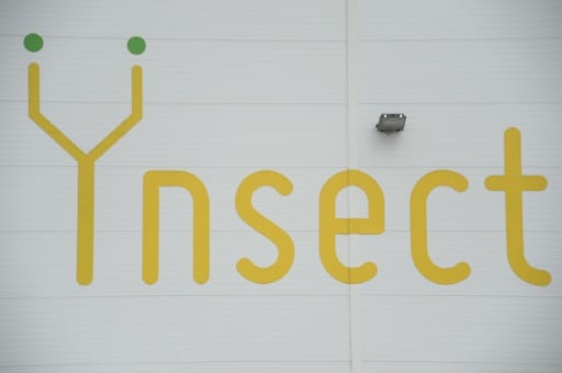 start-up Ynsect