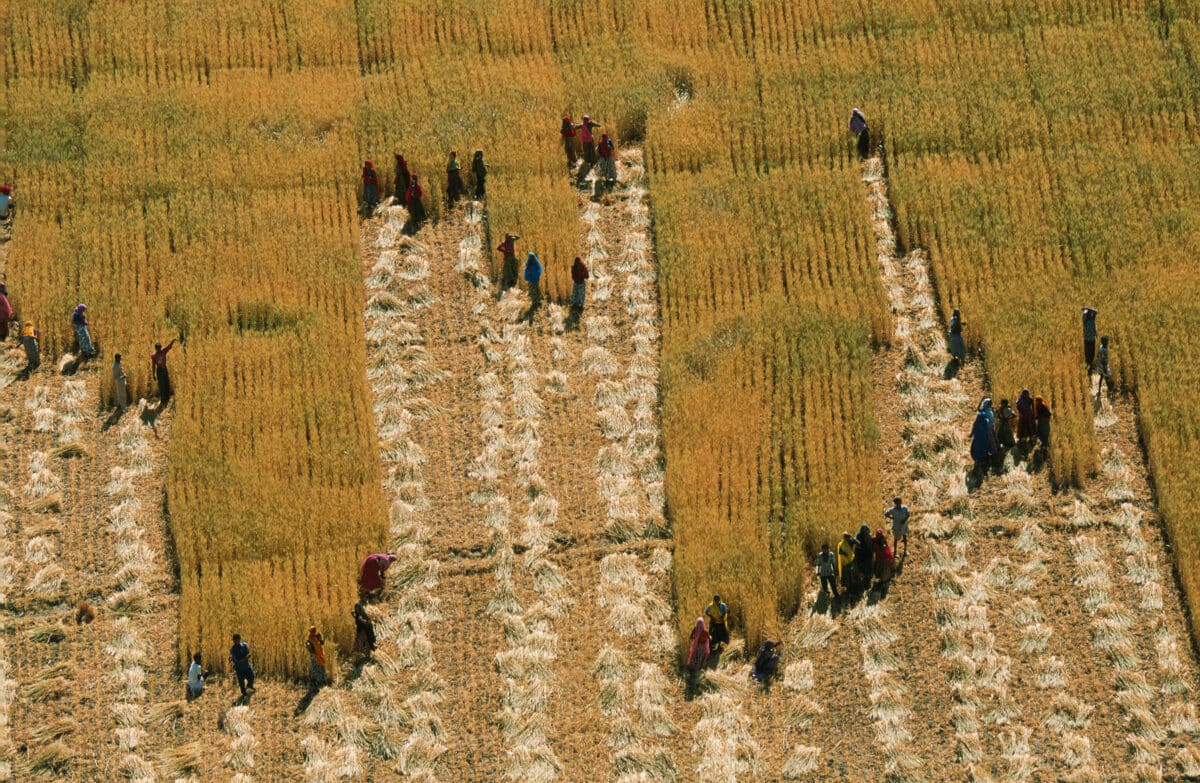 inde pollution air charbon agriculture riz blé securité alimentaire