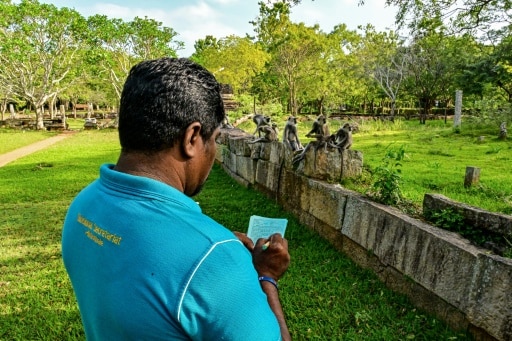 sri lanka especes nuisibles agriculture